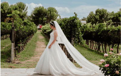 5 TIPS PARA UNA BODA EN VIÑEDO